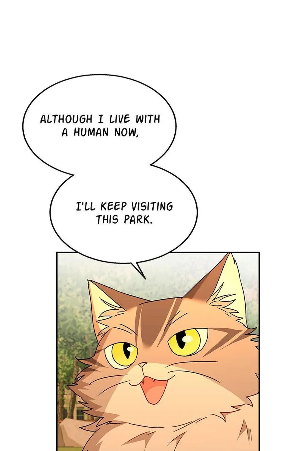 Hello! Veterinarian! Chapter 38 page 91 - 