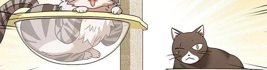 Hello! Veterinarian! Chapter 39 page 109 - 