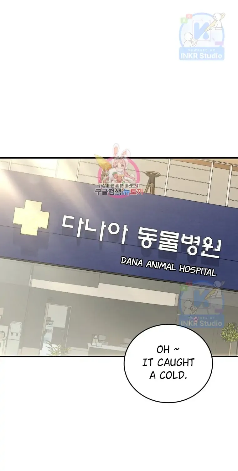 Hello! Veterinarian! Chapter 4 page 2 - 