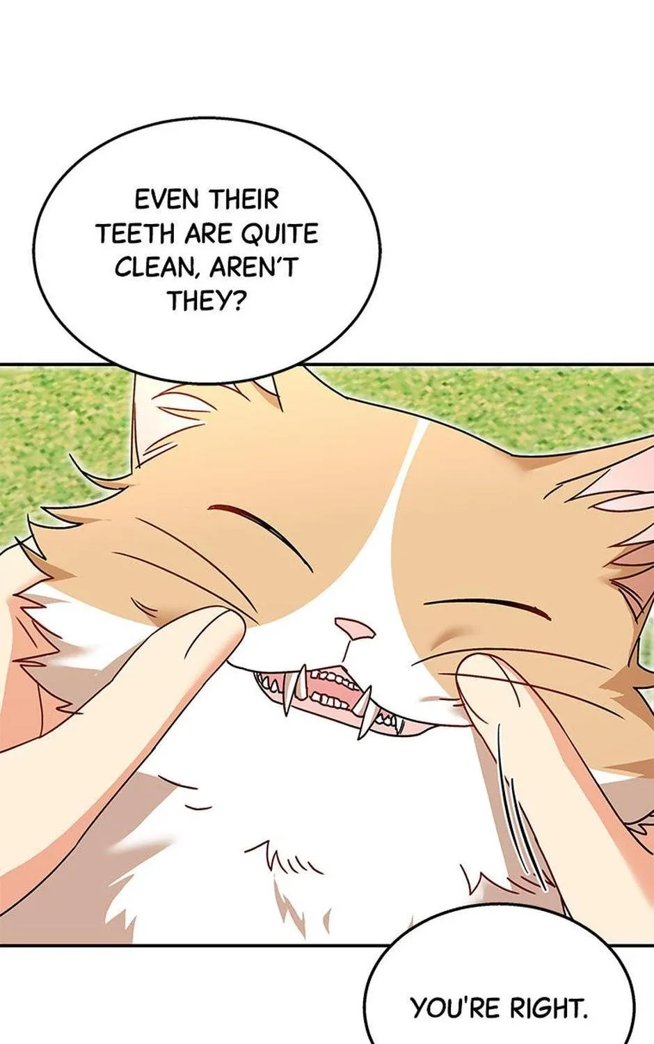 Hello! Veterinarian! Chapter 40 page 54 - 