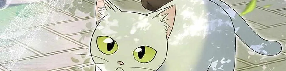 Hello! Veterinarian! Chapter 40 page 77 - 