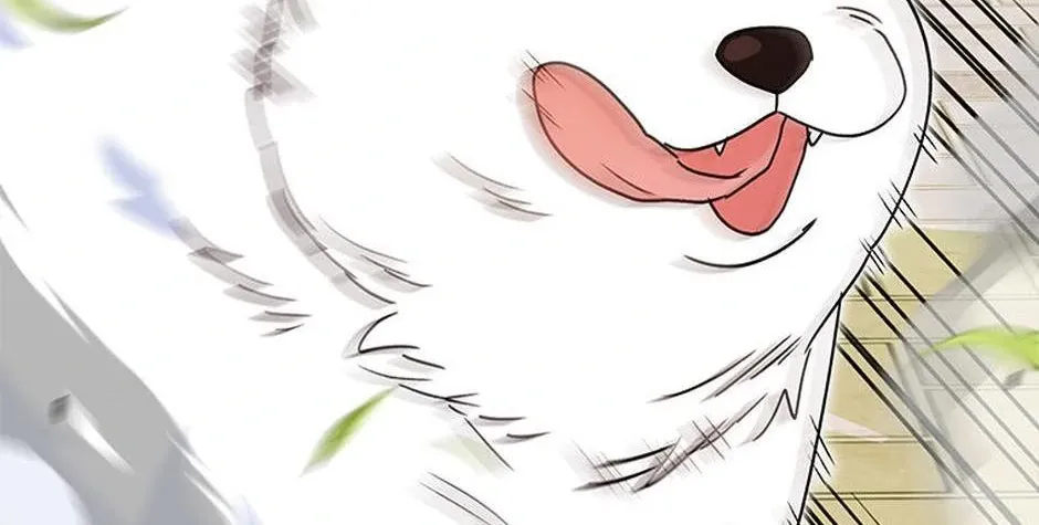 Hello! Veterinarian! Chapter 41 page 19 - 