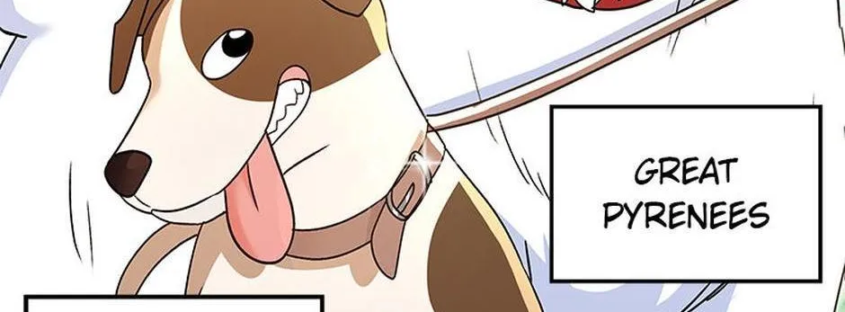 Hello! Veterinarian! Chapter 41 page 5 - 