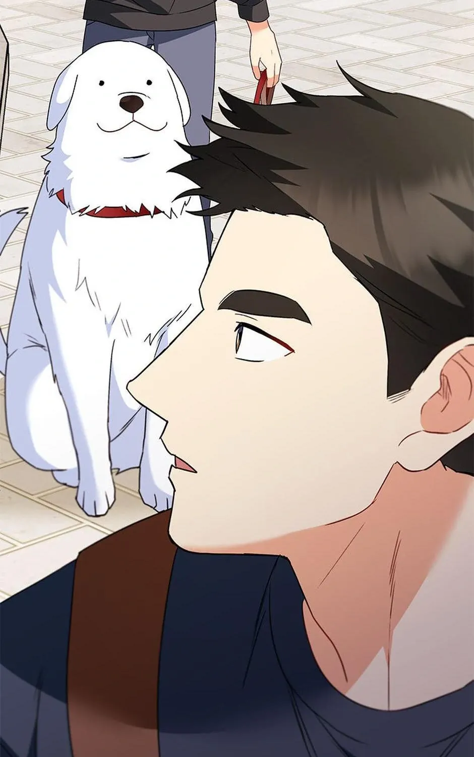 Hello! Veterinarian! Chapter 41 page 50 - 