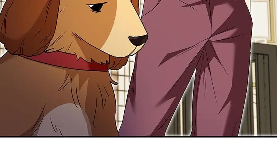 Hello! Veterinarian! Chapter 42 page 29 - 