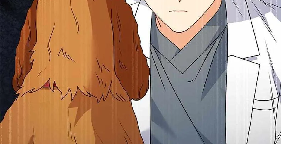 Hello! Veterinarian! Chapter 42 page 53 - 