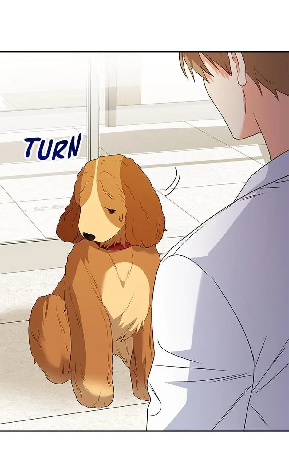 Hello! Veterinarian! Chapter 42 page 86 - 