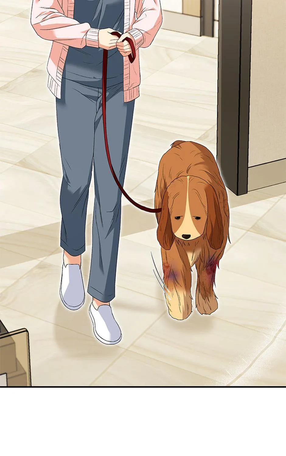 Hello! Veterinarian! Chapter 44 page 88 - 