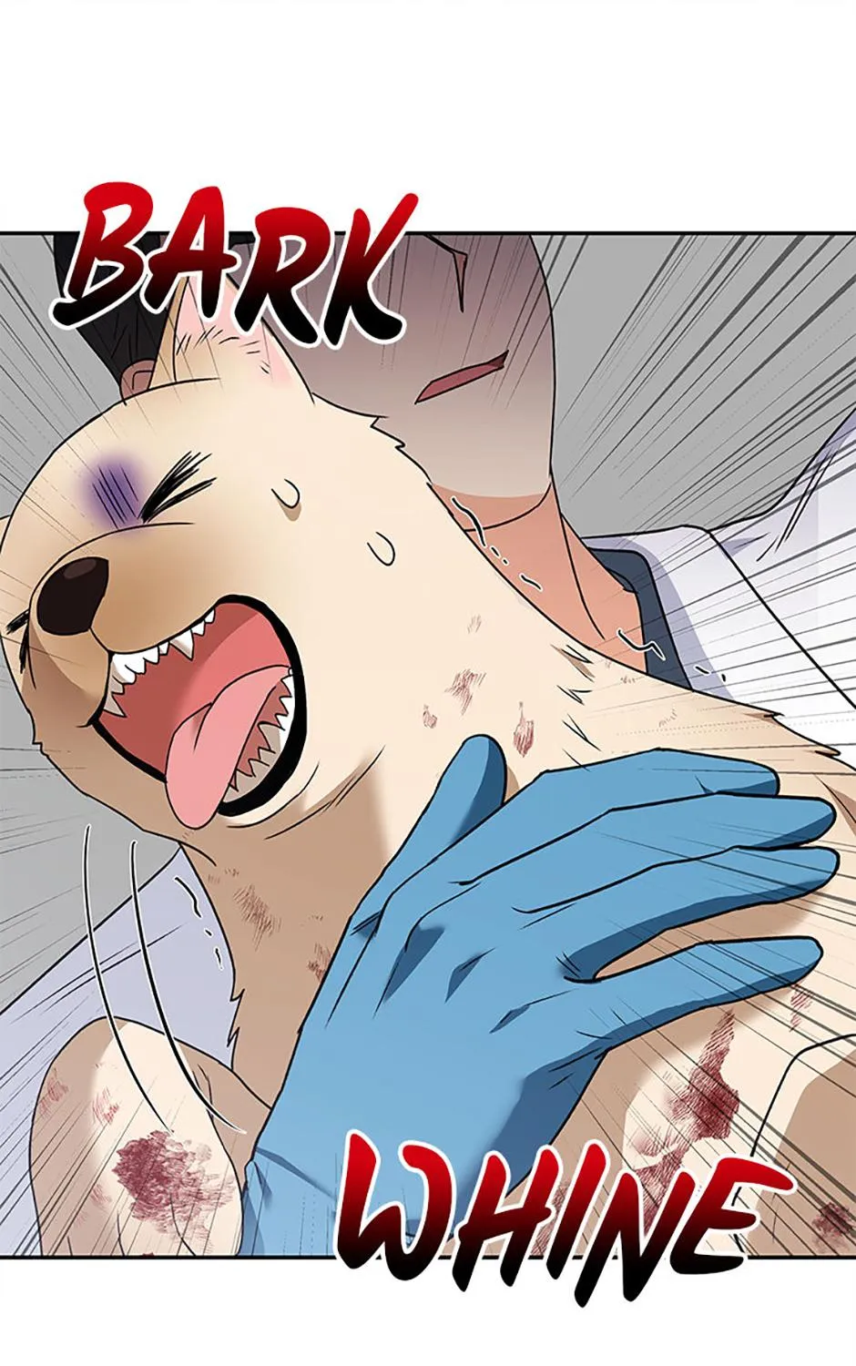 Hello! Veterinarian! Chapter 46 page 105 - 