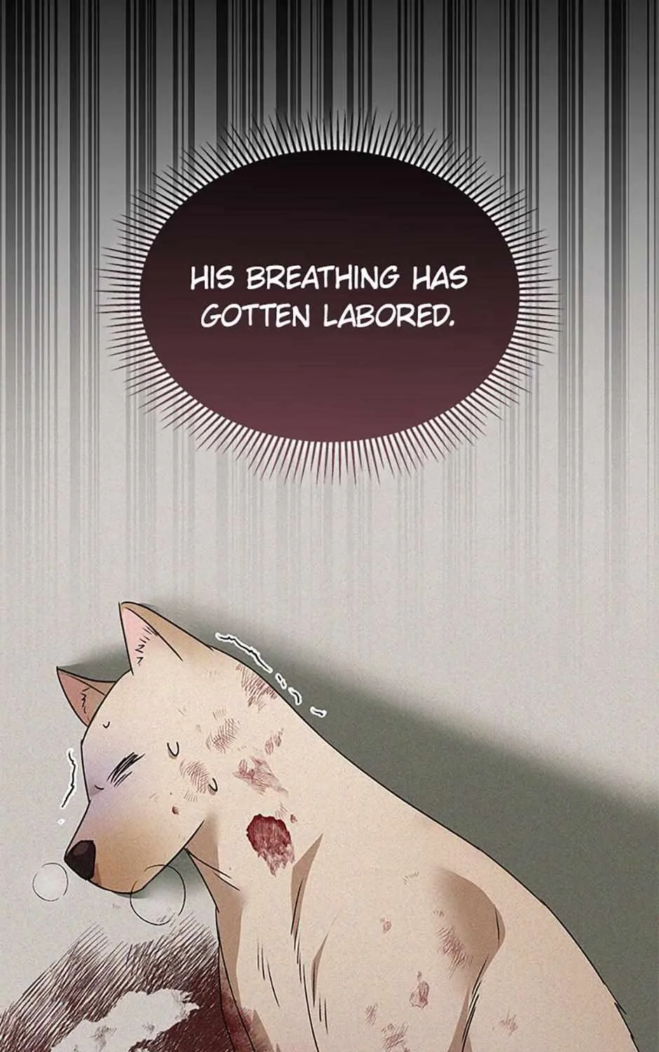 Hello! Veterinarian! Chapter 46 page 147 - 