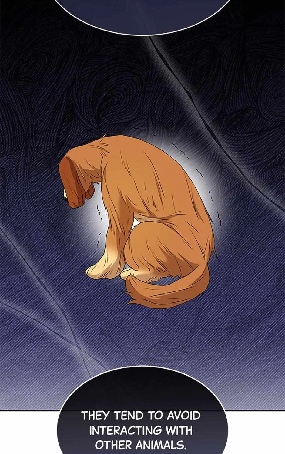 Hello! Veterinarian! Chapter 46 page 77 - 
