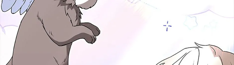 Hello! Veterinarian! Chapter 48 page 144 - 