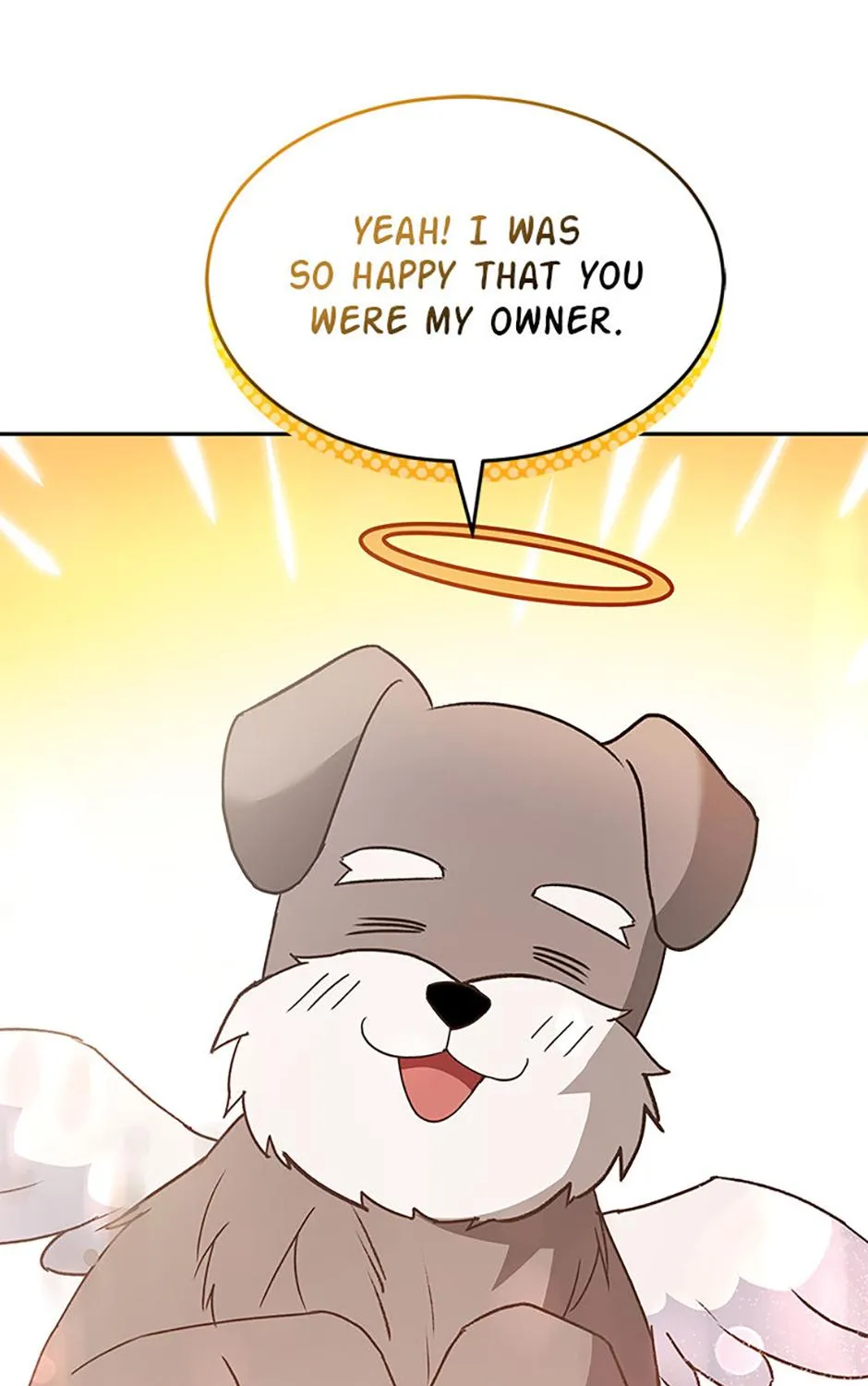 Hello! Veterinarian! Chapter 49 page 145 - 