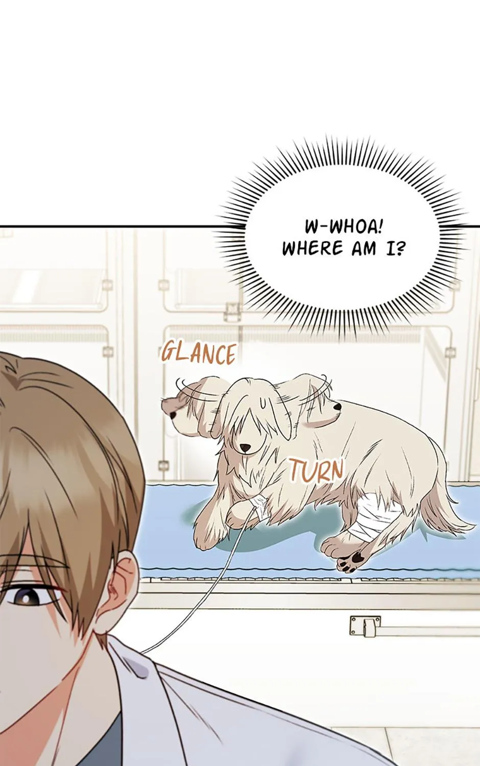 Hello! Veterinarian! Chapter 49 page 31 - 