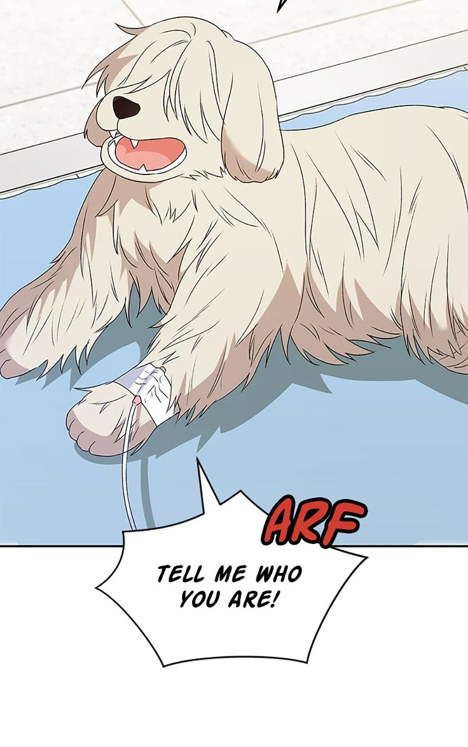 Hello! Veterinarian! Chapter 49 page 45 - 