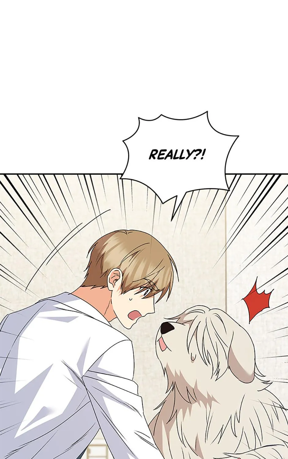 Hello! Veterinarian! Chapter 49 page 79 - 