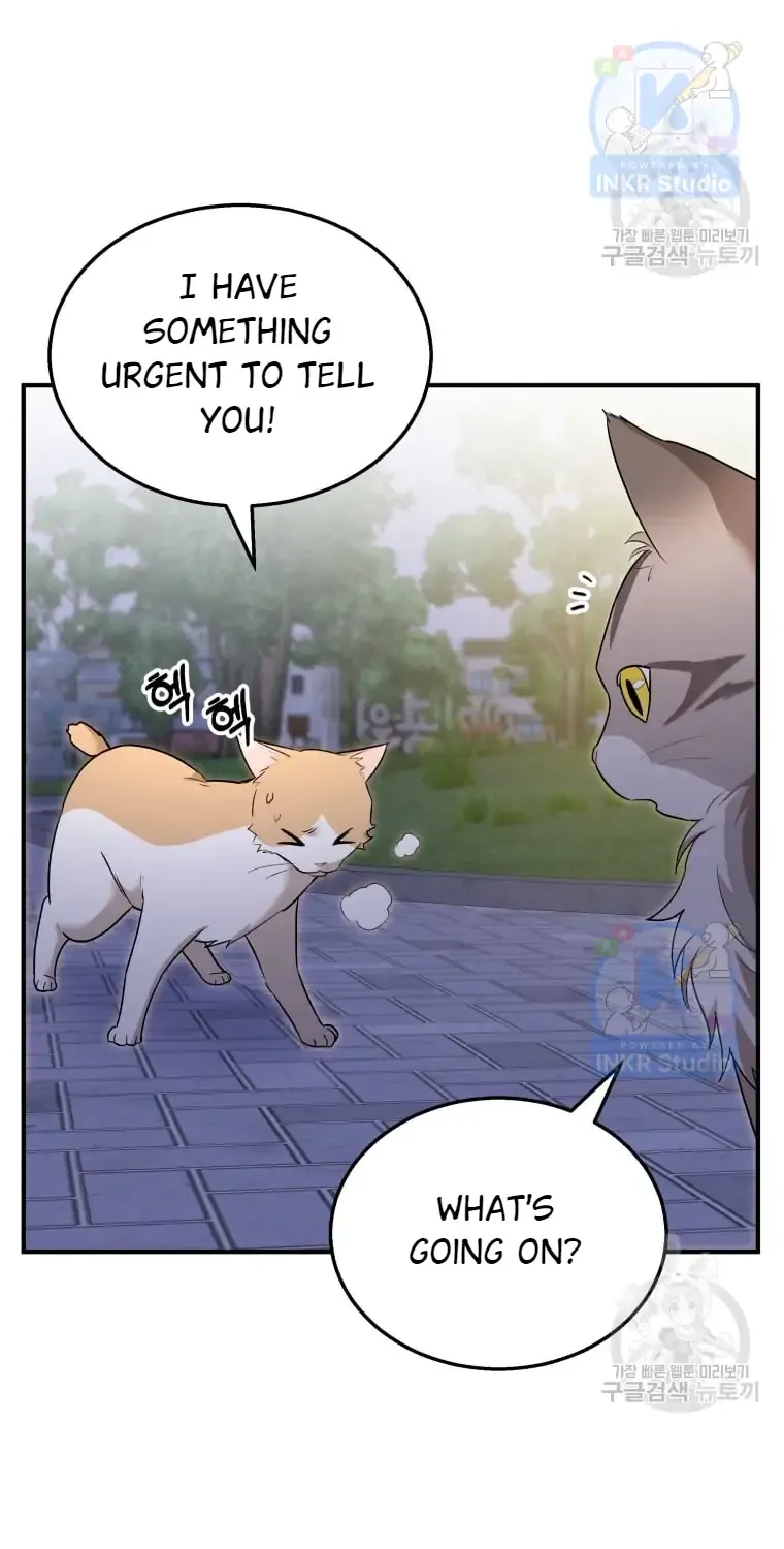 Hello! Veterinarian! Chapter 6 page 78 - 