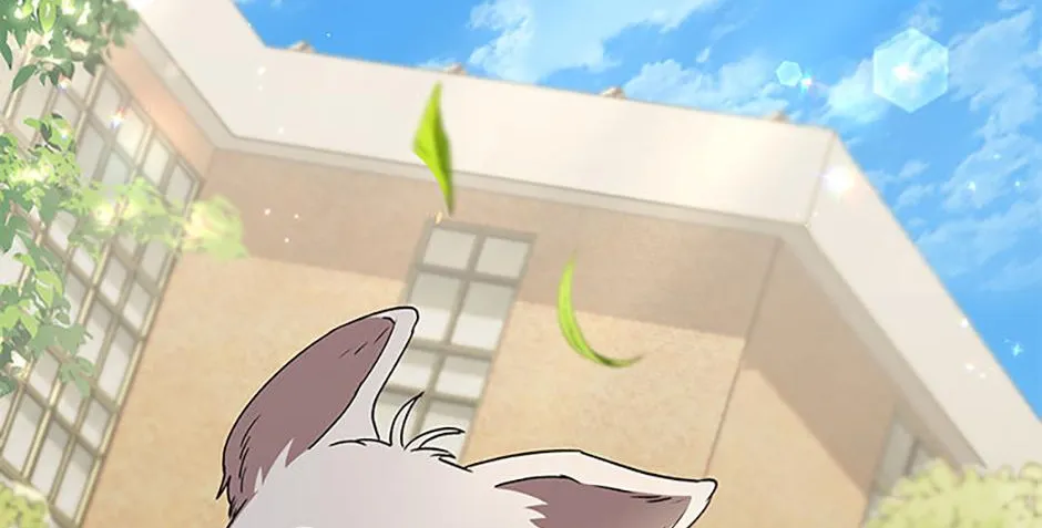 Hello! Veterinarian! Chapter 68 page 96 - 