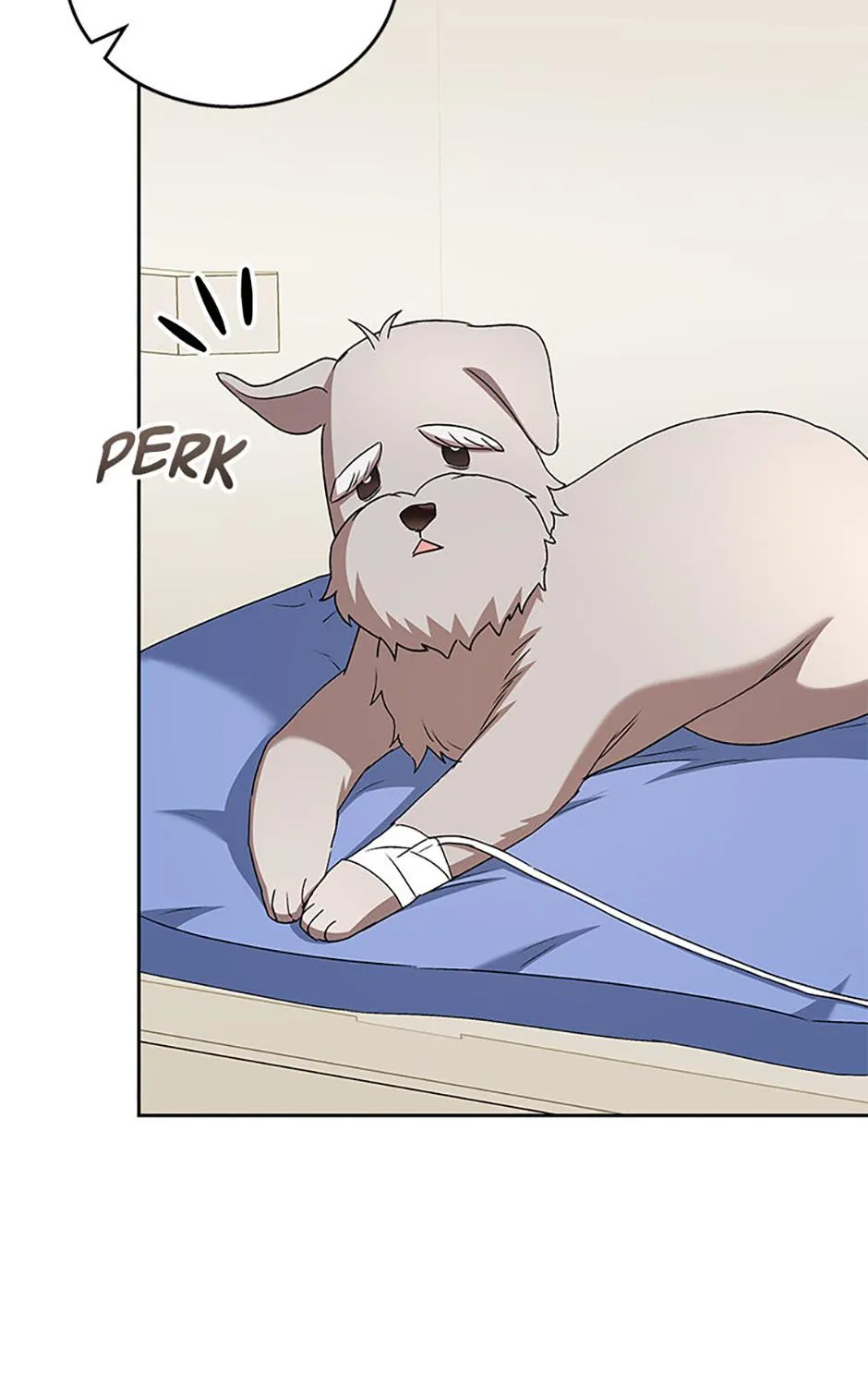 Hello! Veterinarian! Chapter 69 page 11 - 