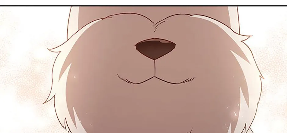 Hello! Veterinarian! Chapter 69 page 141 - 