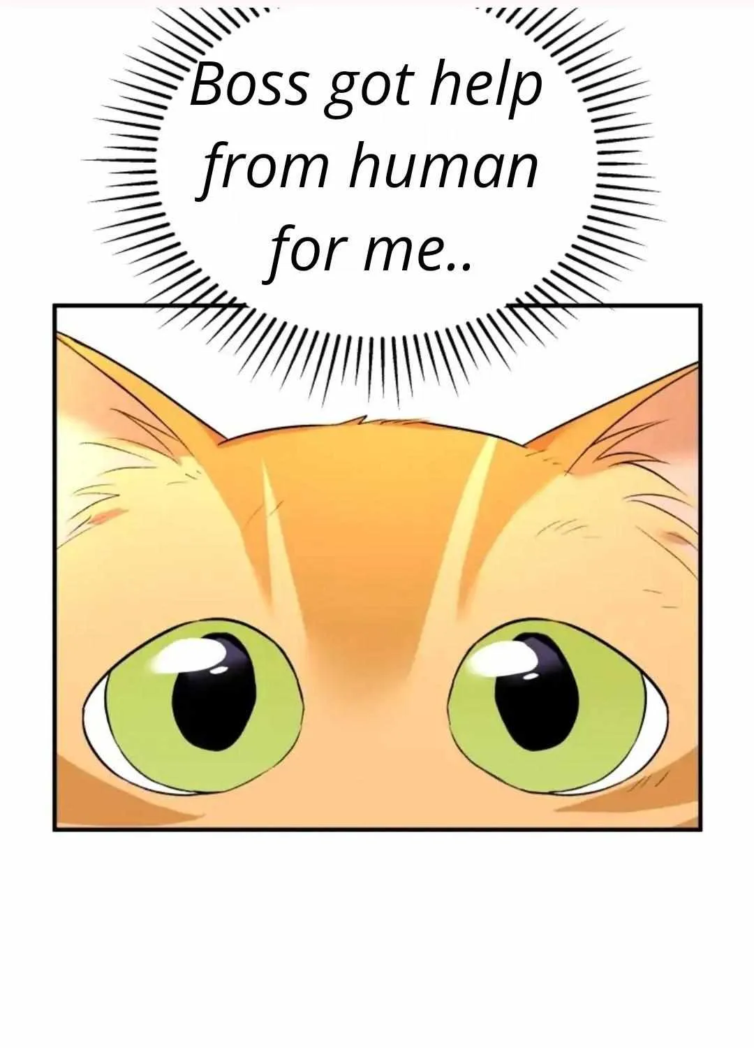 Hello! Veterinarian! Chapter 7.1 page 127 - 