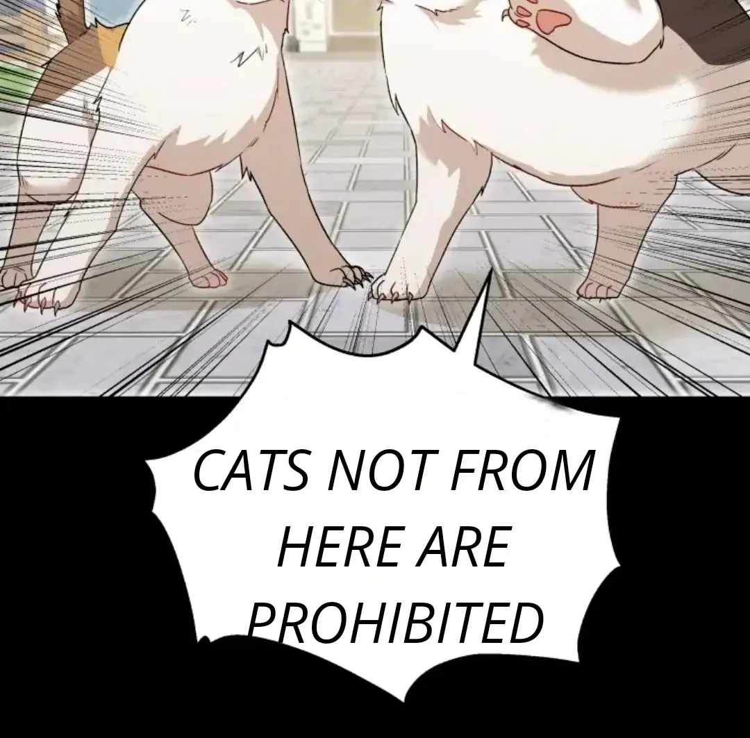 Hello! Veterinarian! Chapter 7 page 47 - 