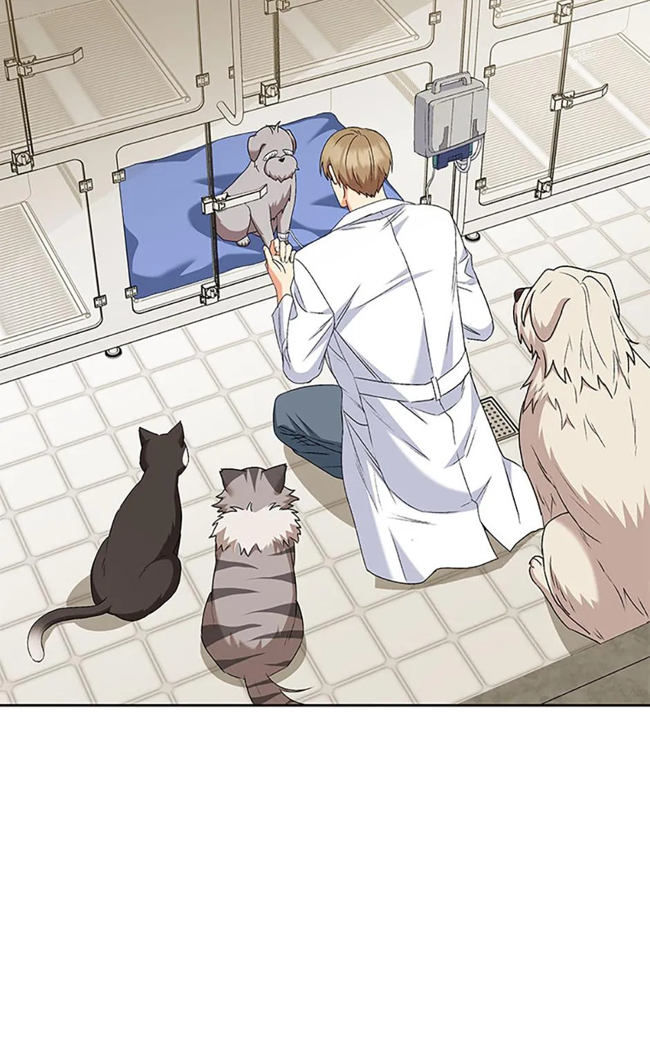 Hello! Veterinarian! Chapter 70 page 135 - 
