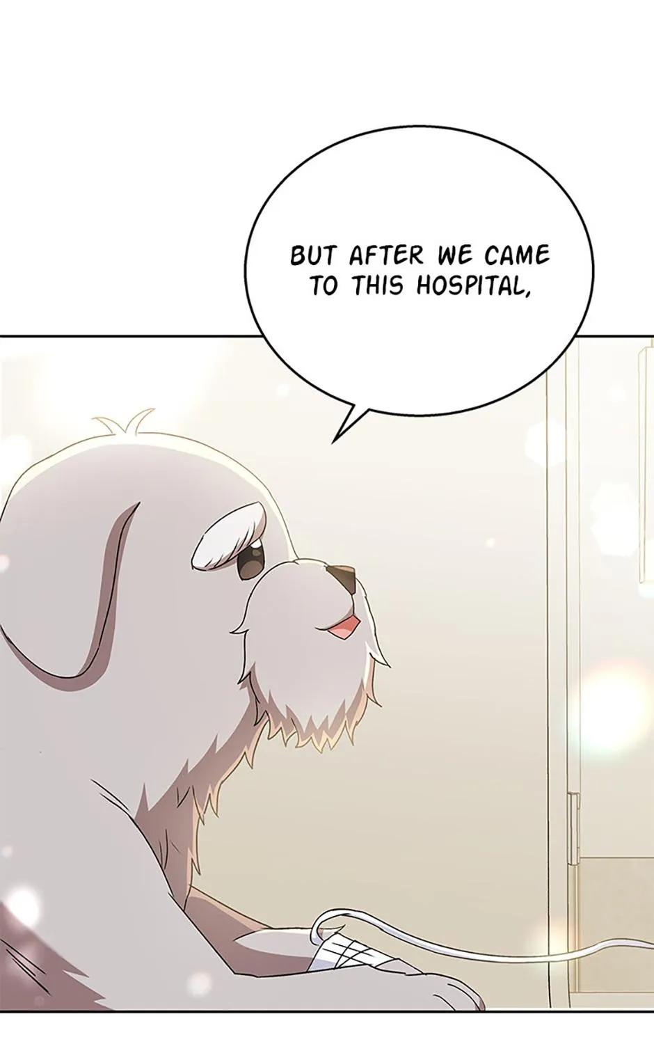 Hello! Veterinarian! Chapter 70 page 47 - 