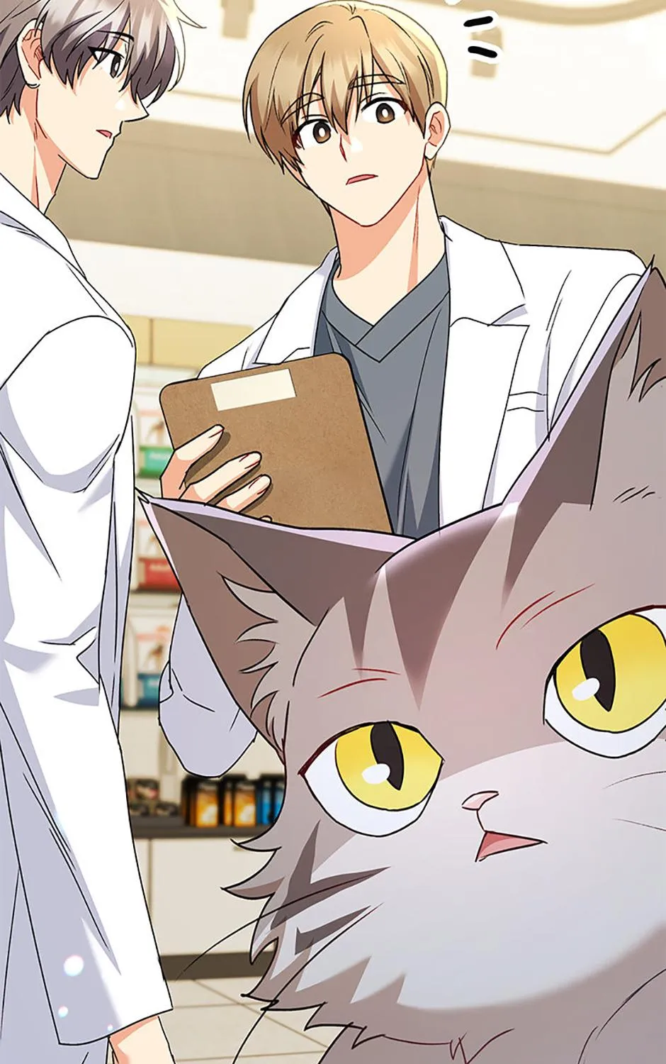 Hello! Veterinarian! Chapter 71 page 100 - 
