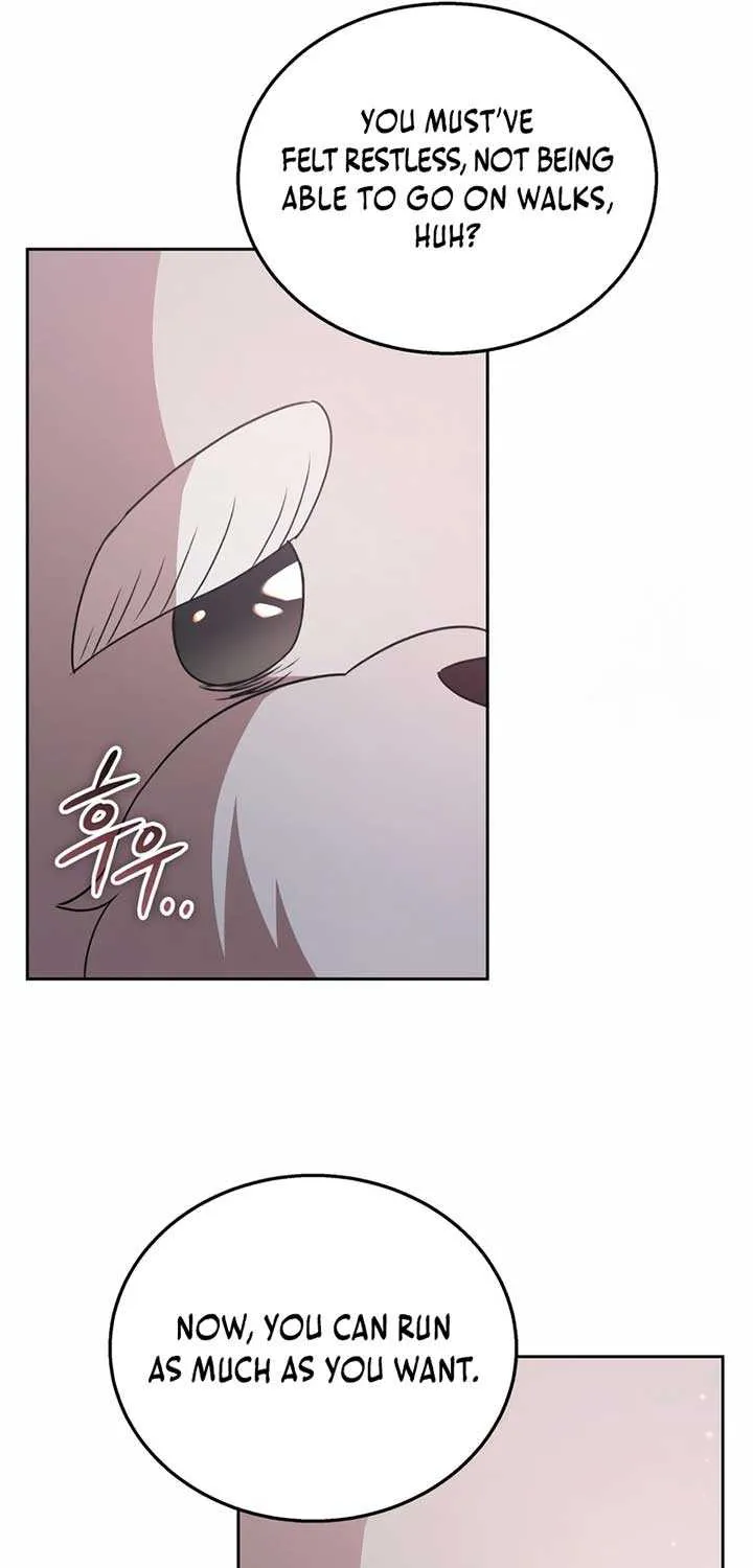 Hello! Veterinarian! Chapter 73 page 20 - 