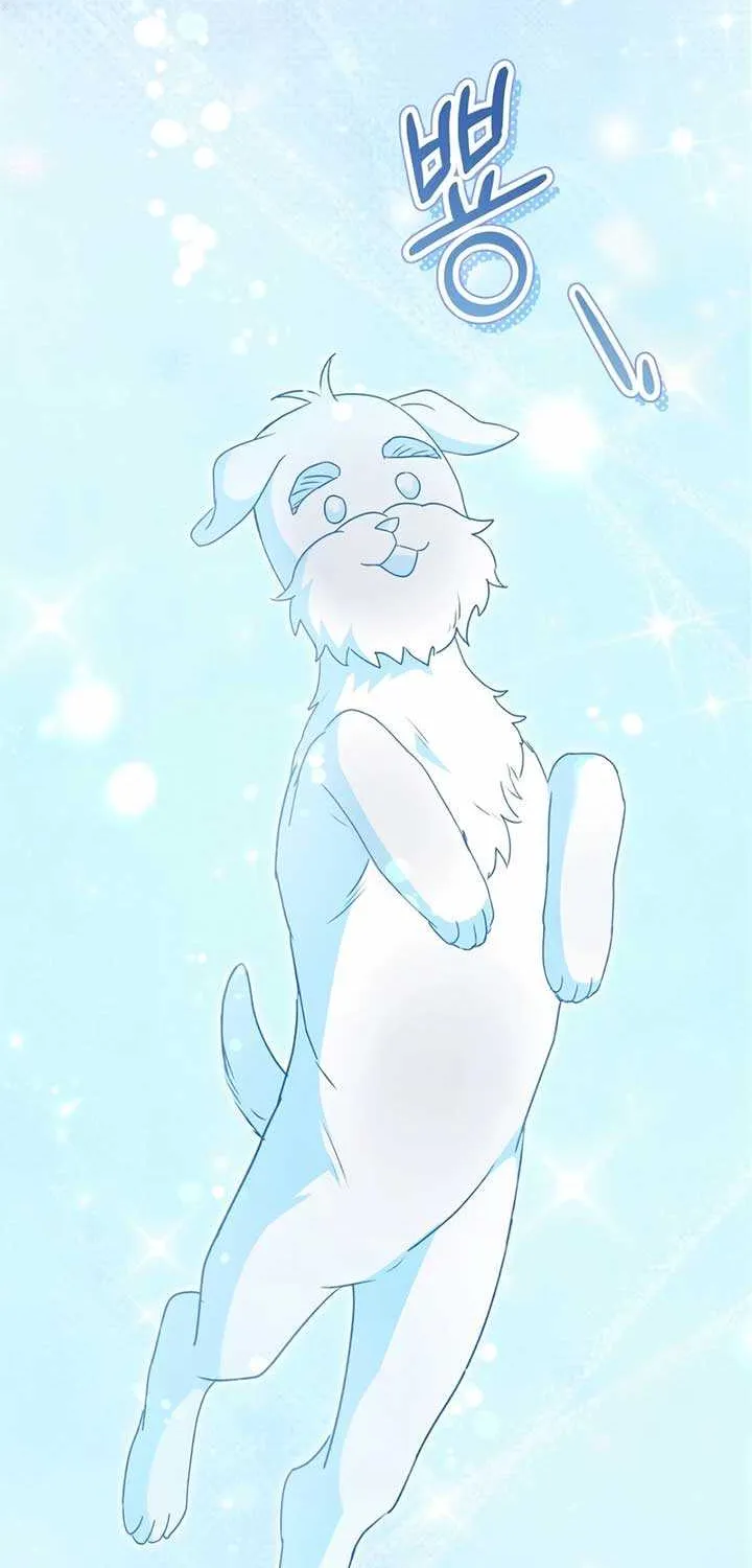 Hello! Veterinarian! Chapter 73 page 23 - 