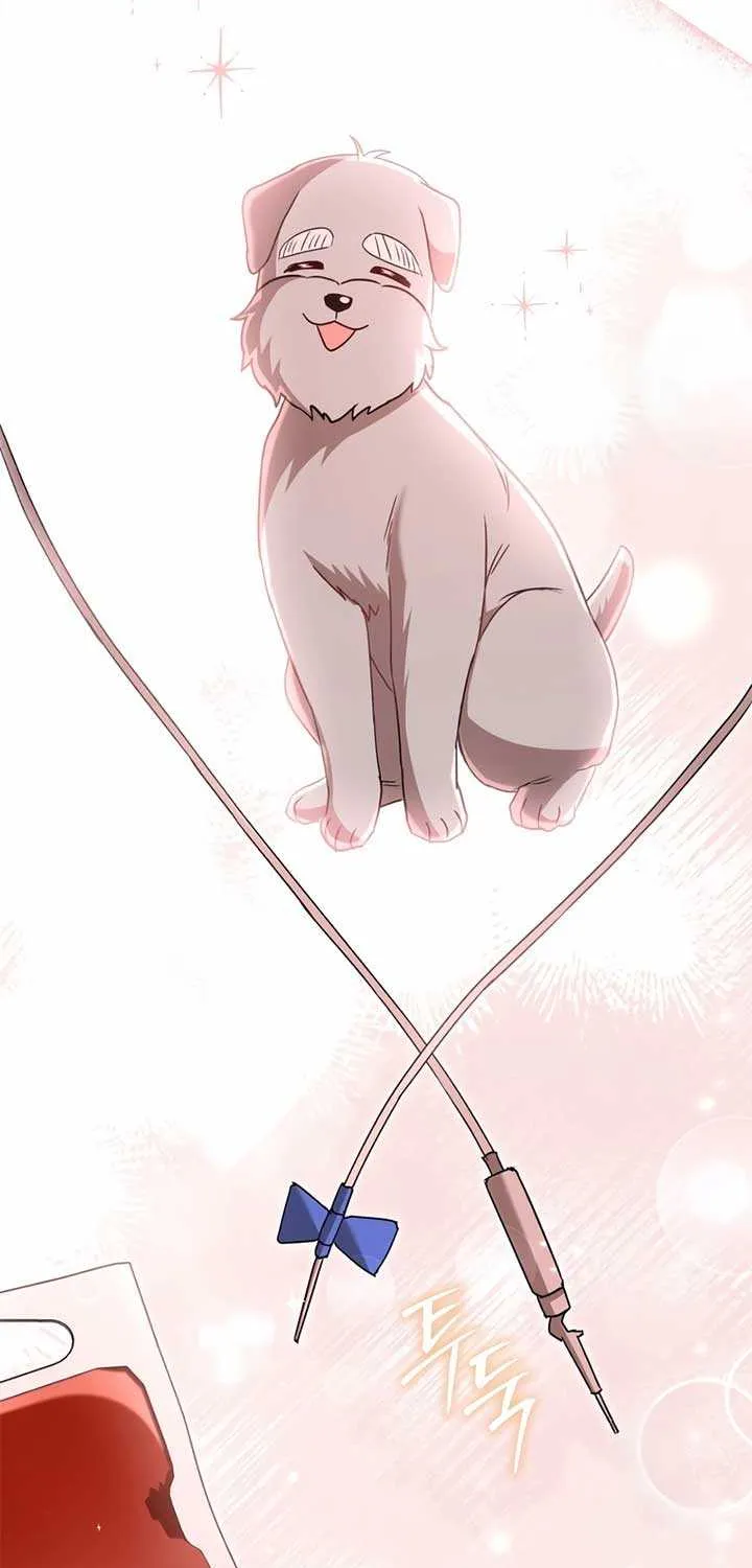 Hello! Veterinarian! Chapter 73 page 4 - 