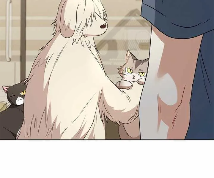 Hello! Veterinarian! Chapter 73 page 37 - 