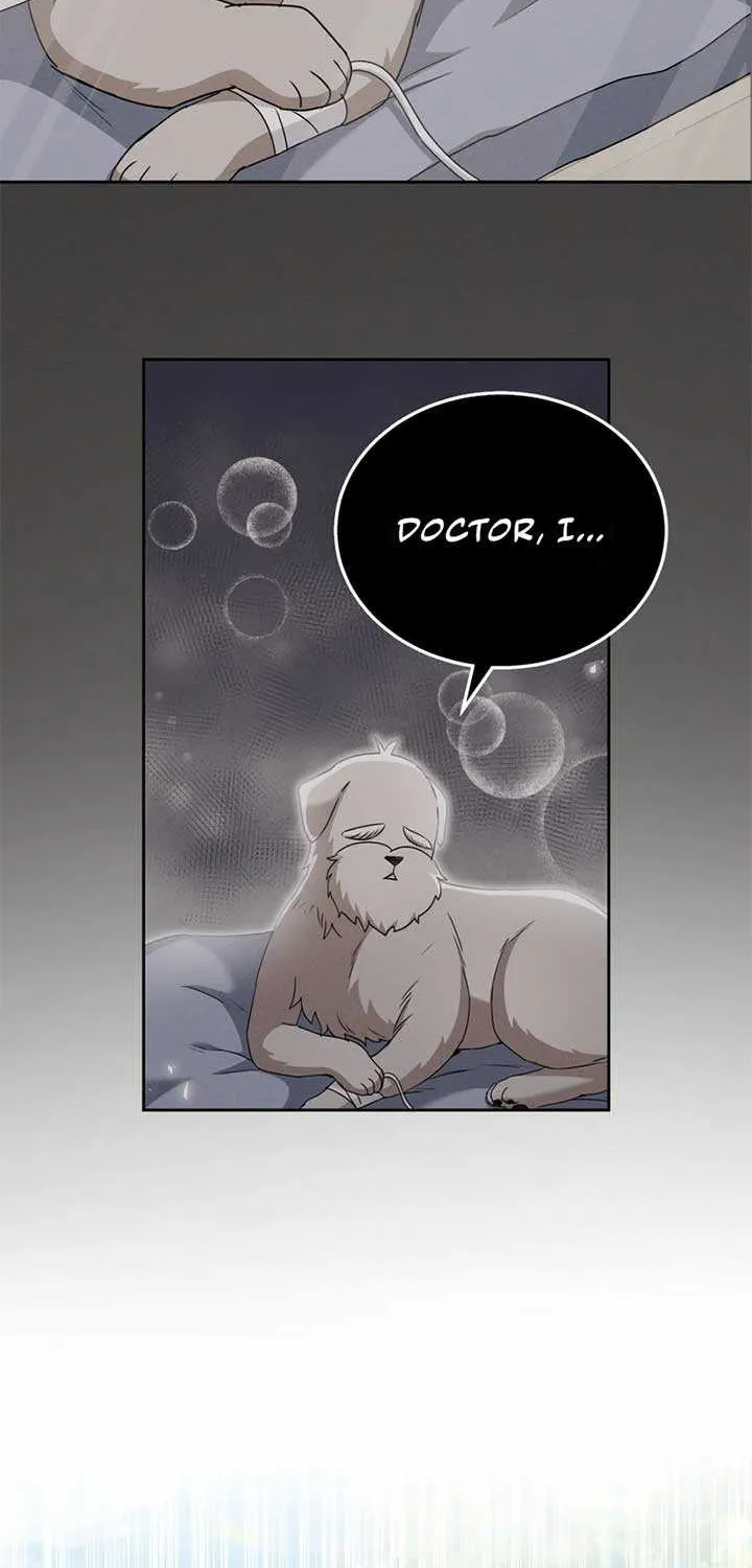 Hello! Veterinarian! Chapter 73 page 71 - 