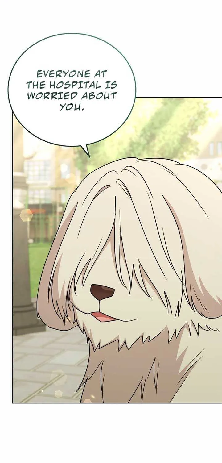 Hello! Veterinarian! Chapter 74 page 68 - 