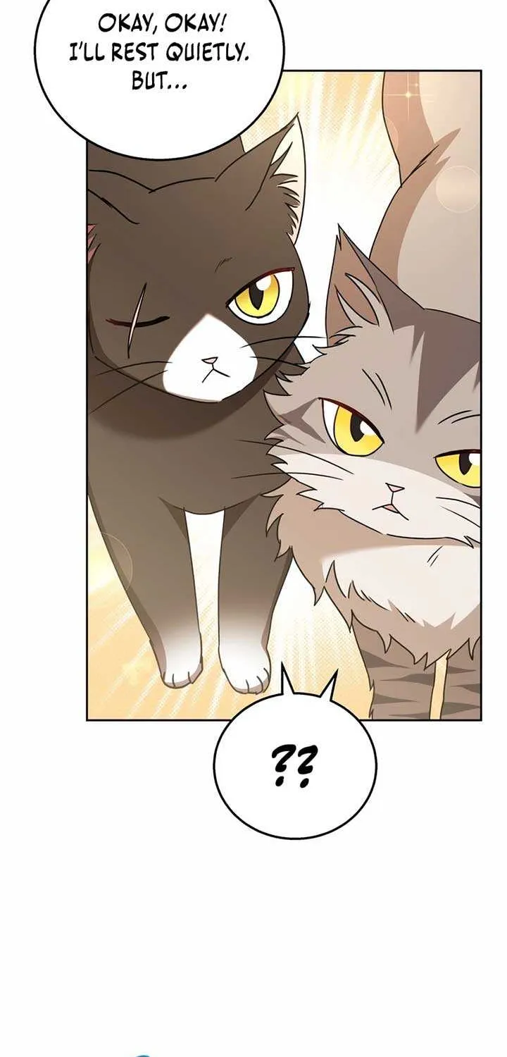 Hello! Veterinarian! Chapter 74 page 72 - 
