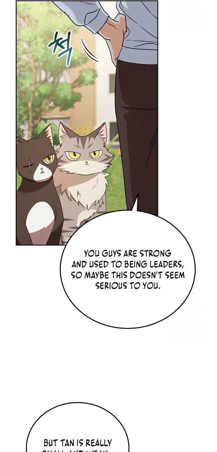 Hello! Veterinarian! Chapter 75 page 54 - 
