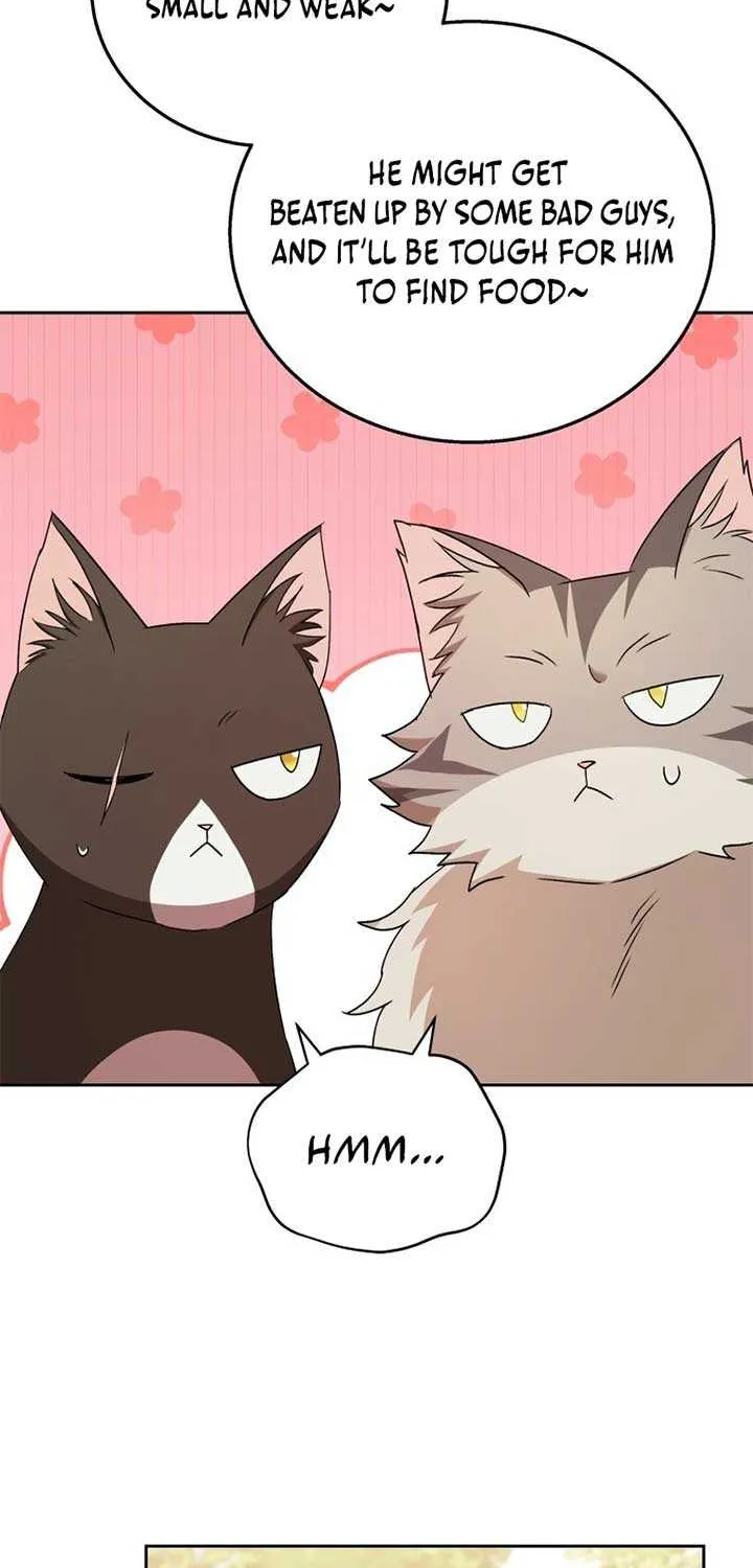 Hello! Veterinarian! Chapter 75 page 55 - 