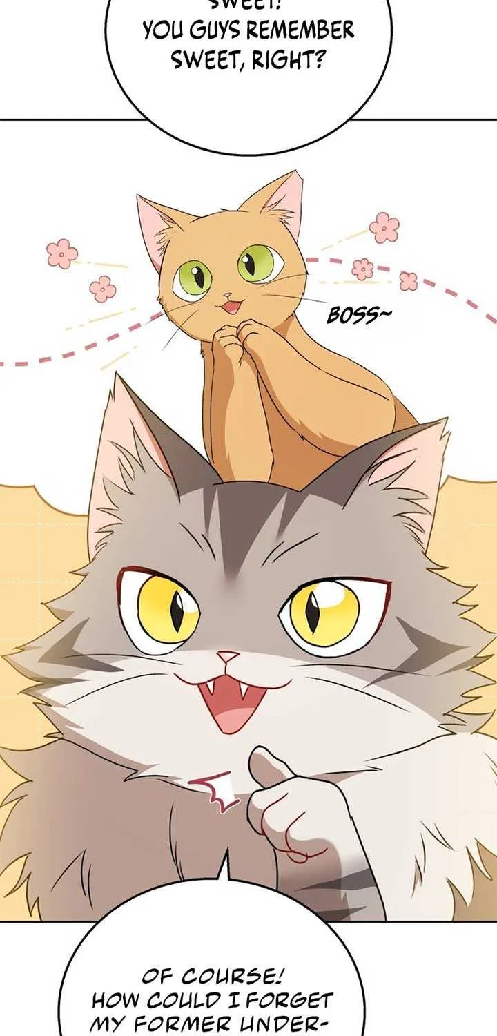 Hello! Veterinarian! Chapter 75 page 57 - 