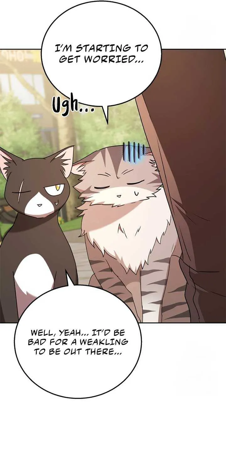 Hello! Veterinarian! Chapter 75 page 62 - 