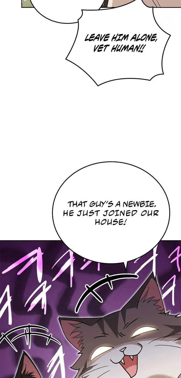 Hello! Veterinarian! Chapter 75 page 72 - 
