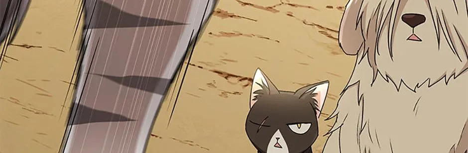 Hello! Veterinarian! Chapter 76 page 106 - 