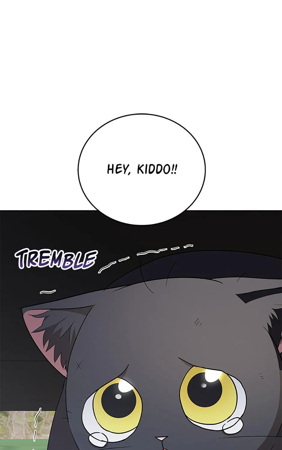 Hello! Veterinarian! Chapter 76 page 137 - 
