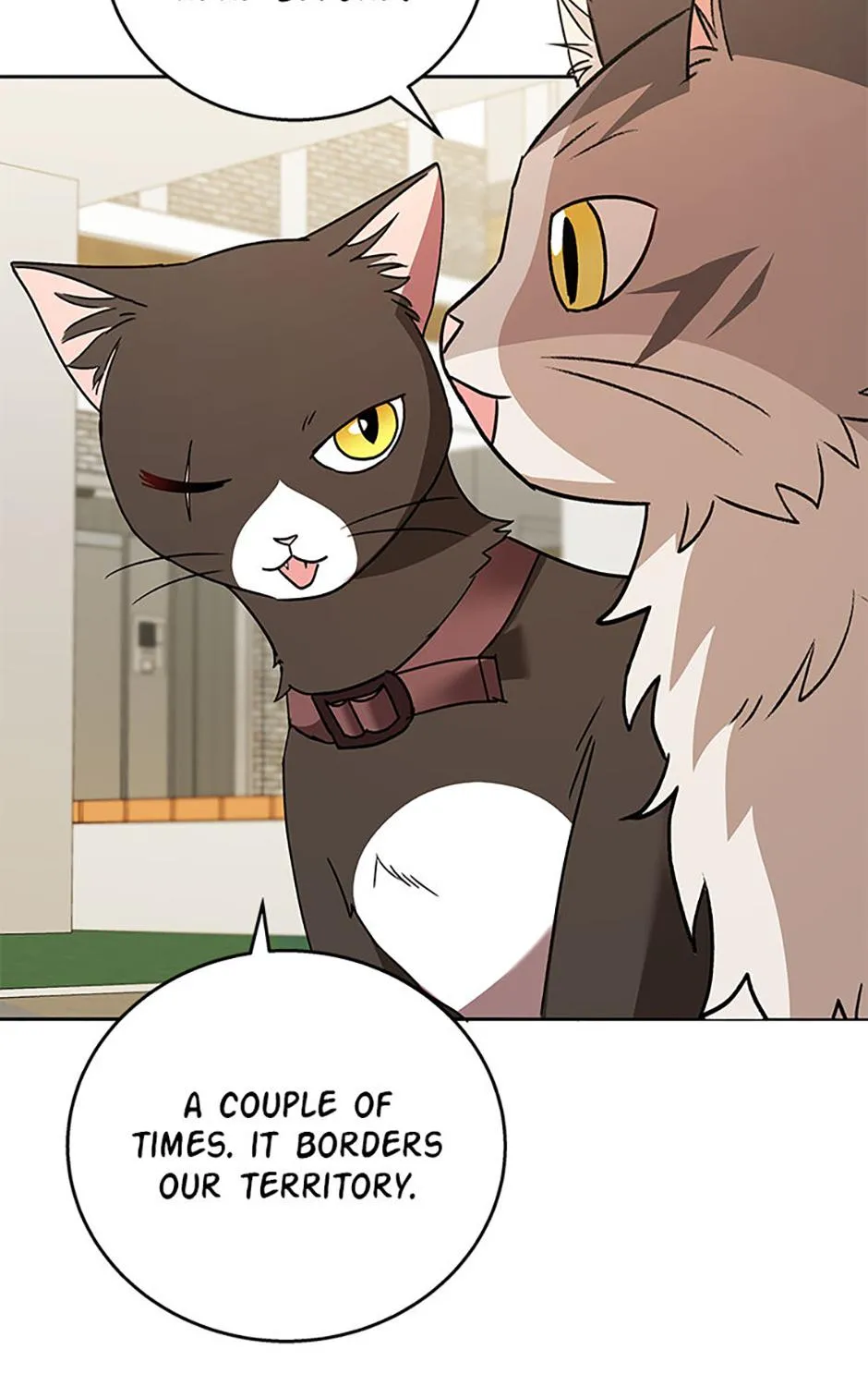 Hello! Veterinarian! Chapter 76 page 59 - 