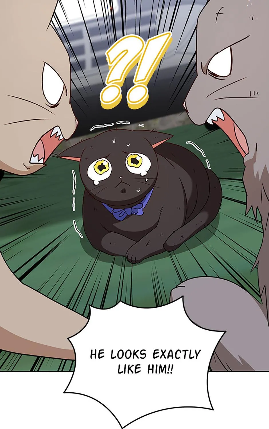 Hello! Veterinarian! Chapter 77 page 12 - 