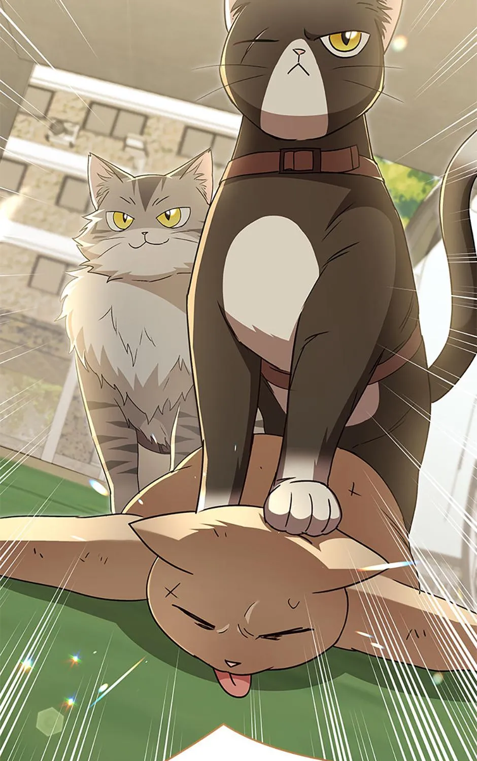 Hello! Veterinarian! Chapter 77 page 42 - 