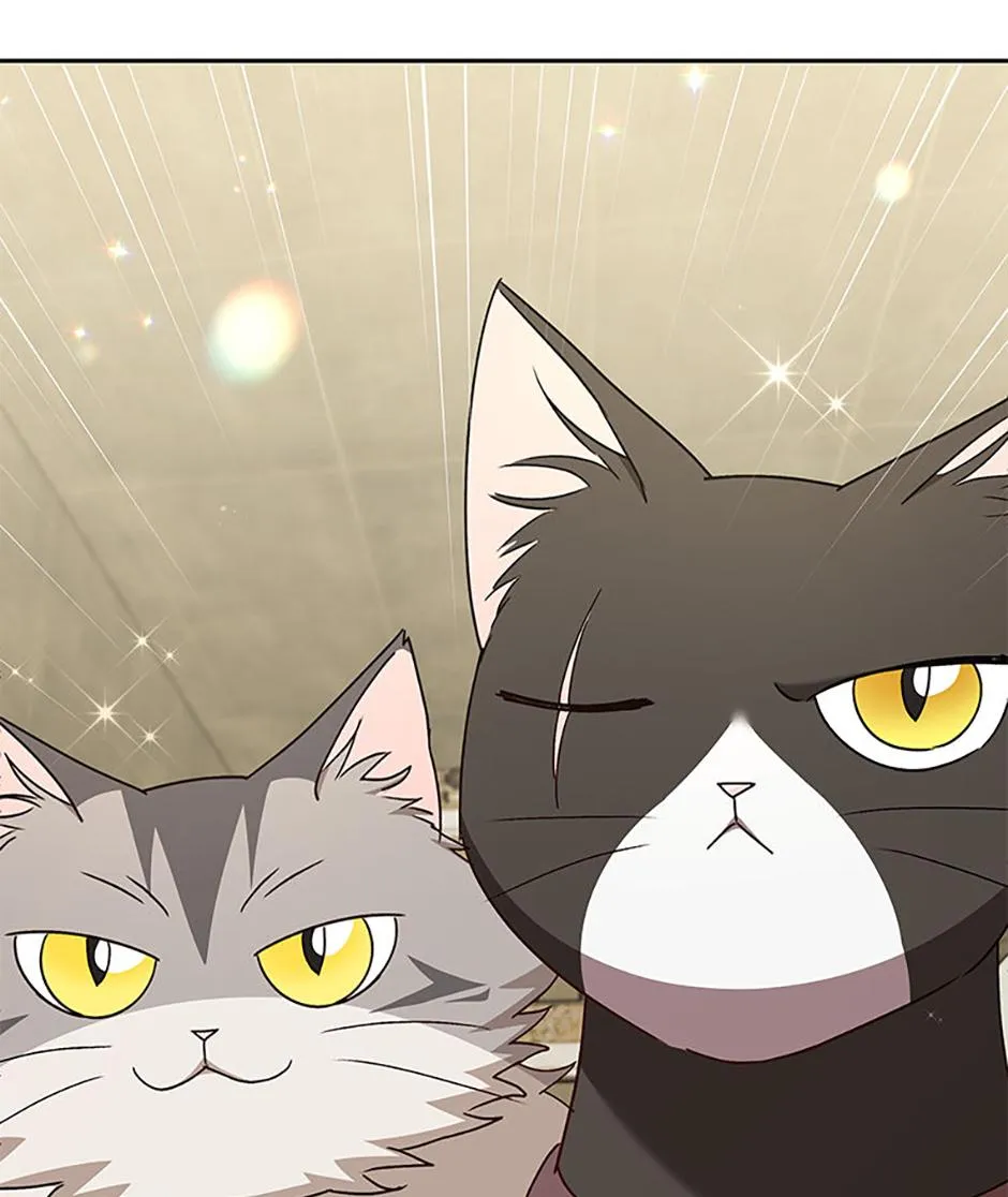 Hello! Veterinarian! Chapter 77 page 44 - 