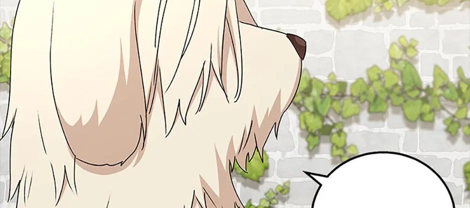 Hello! Veterinarian! Chapter 77 page 73 - 