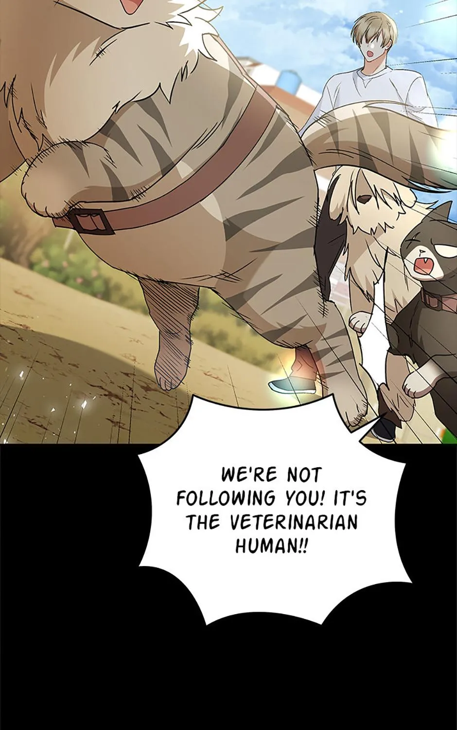 Hello! Veterinarian! Chapter 77 page 88 - 