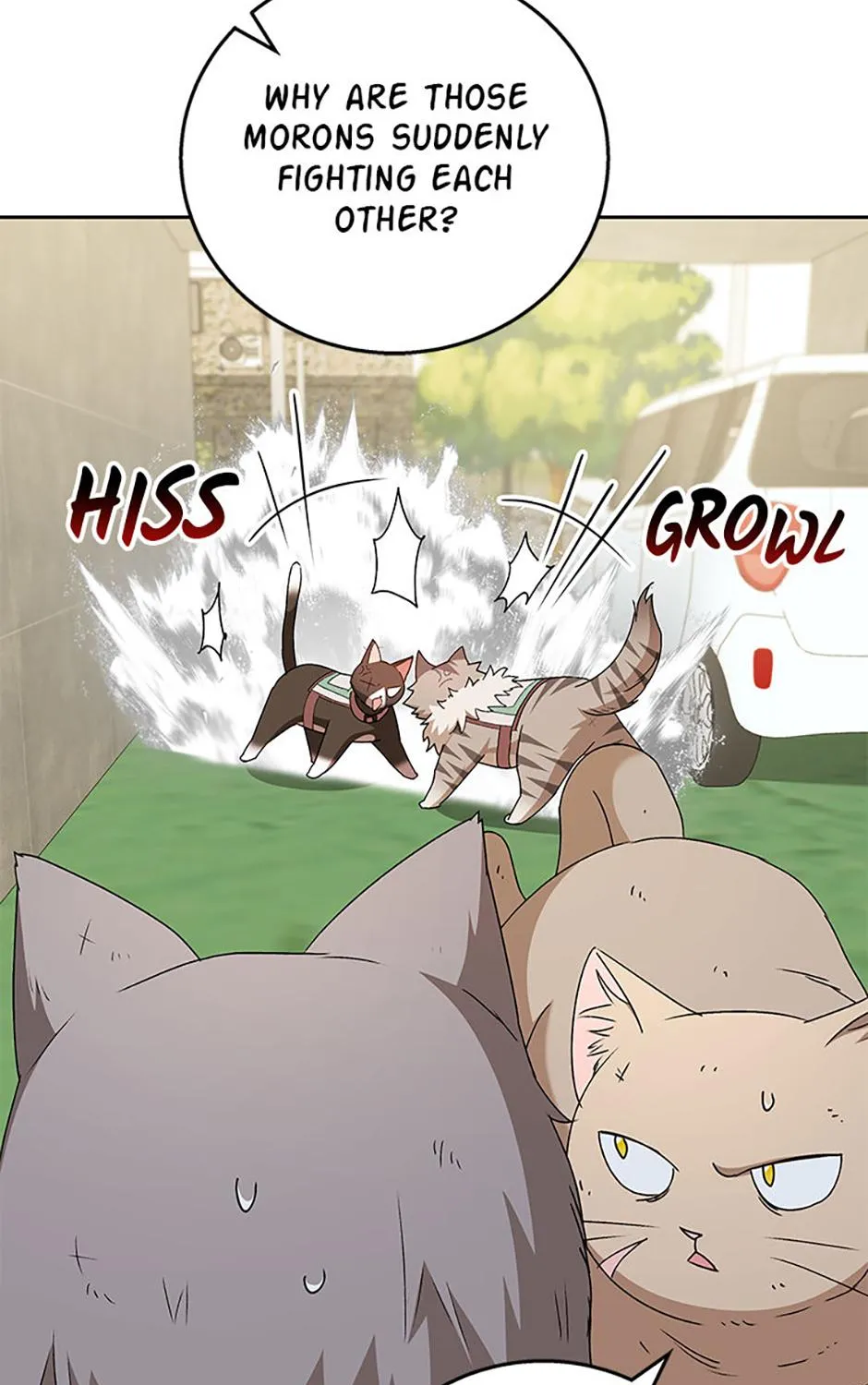 Hello! Veterinarian! Chapter 77 page 100 - 